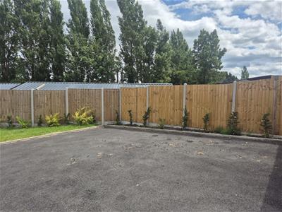 Picture 14